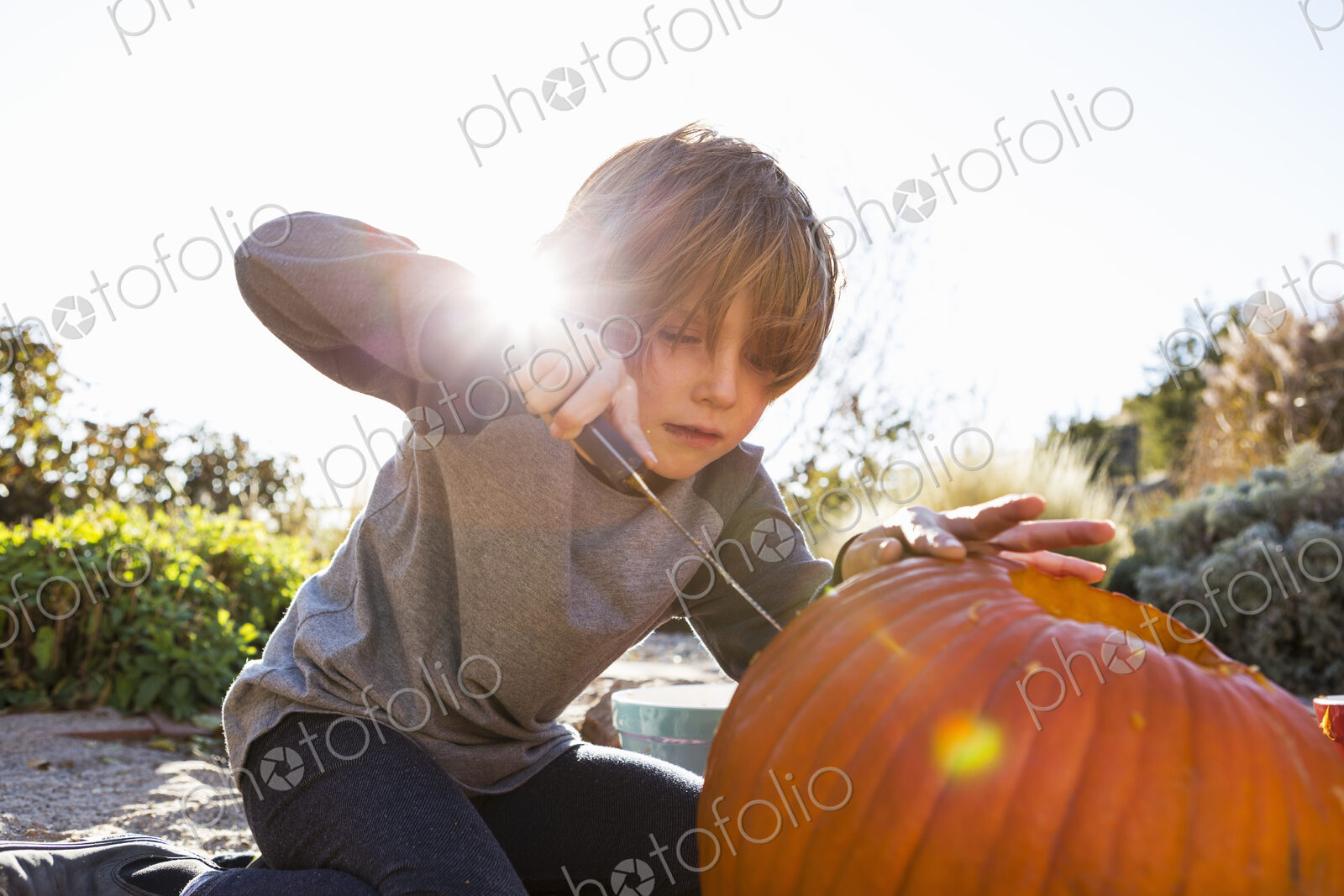 A six year old boy carving a pumpkin at Halloween.