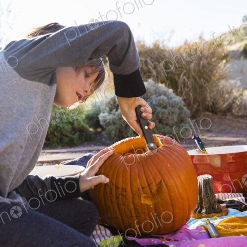 A six year old boy carving a pumpkin at Halloween.