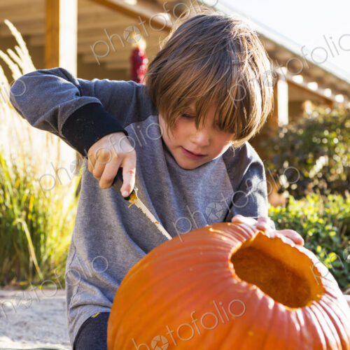 A six year old boy carving a pumpkin at Halloween.