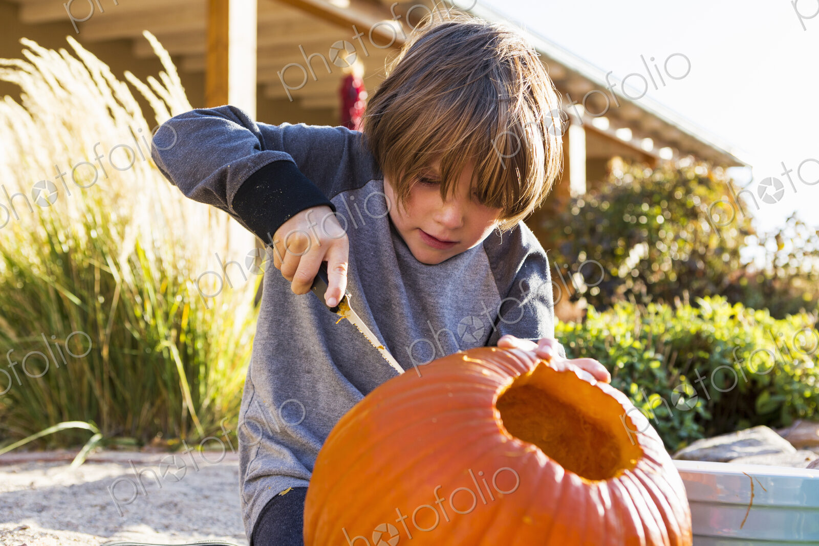 A six year old boy carving a pumpkin at Halloween.