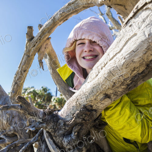 A six year old boy on a beach climbing up a driftwood tree trunk A six year old boy on a beach climbing up a driftwood tree trunk