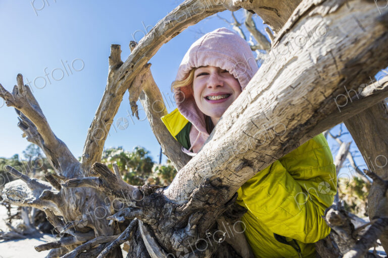A six year old boy on a beach climbing up a driftwood tree trunk
