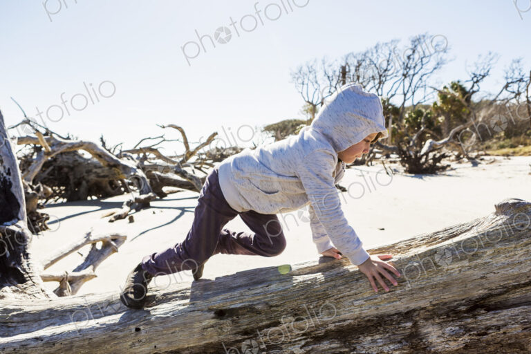 A six year old boy on a beach climbing up a driftwood tree trunk