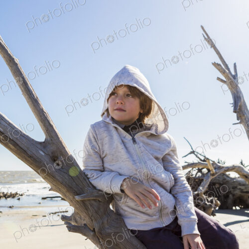 A six year old boy on a beach leaning on a driftwood tree trunk A six year old boy on a beach leaning on a driftwood tree trunk