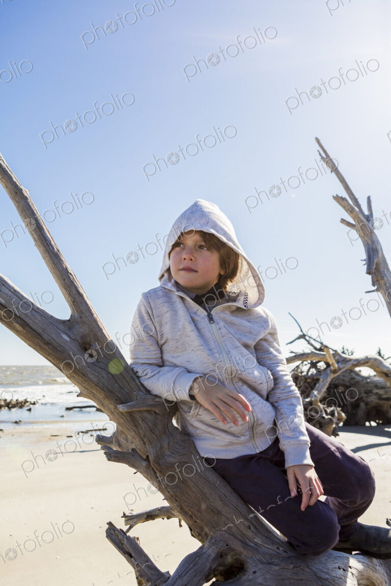 A six year old boy on a beach leaning on a driftwood tree trunk