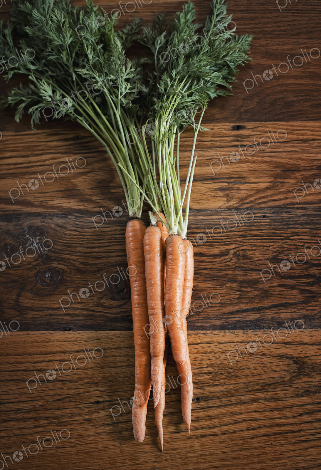 A small bunch of carrots with green leafy tops freshly harvested, lying on a tabletop.