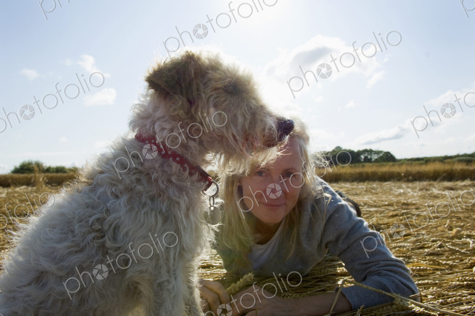 A small dog sitting and looking into the distance. A woman beside him on the group.…