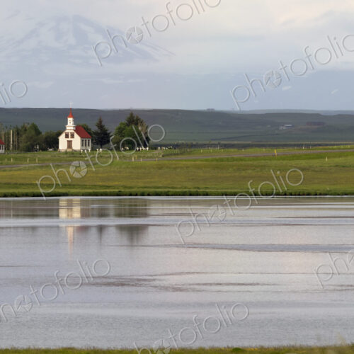 A small group of horses grazing near a lake and views across the calm water. A small group of horses grazing near a lake and views across the calm water.