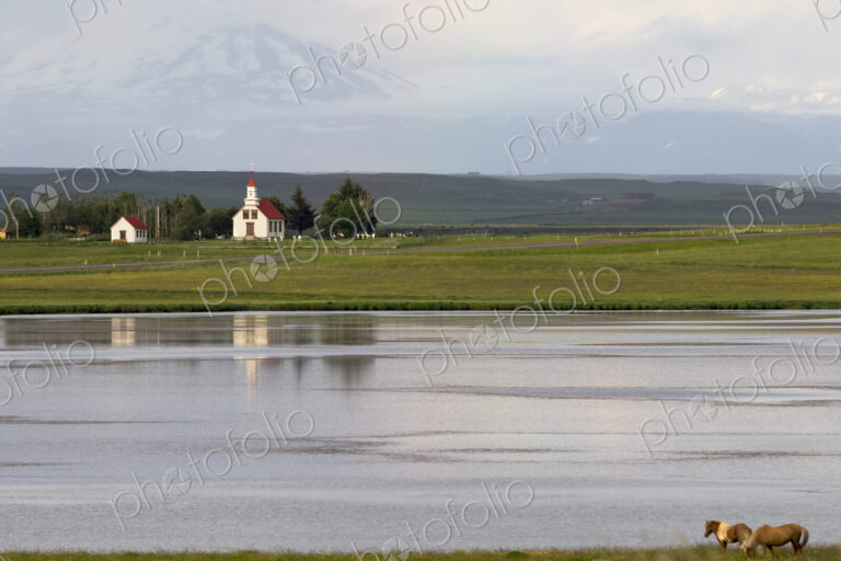 A small group of horses grazing near a lake and views across the calm water.