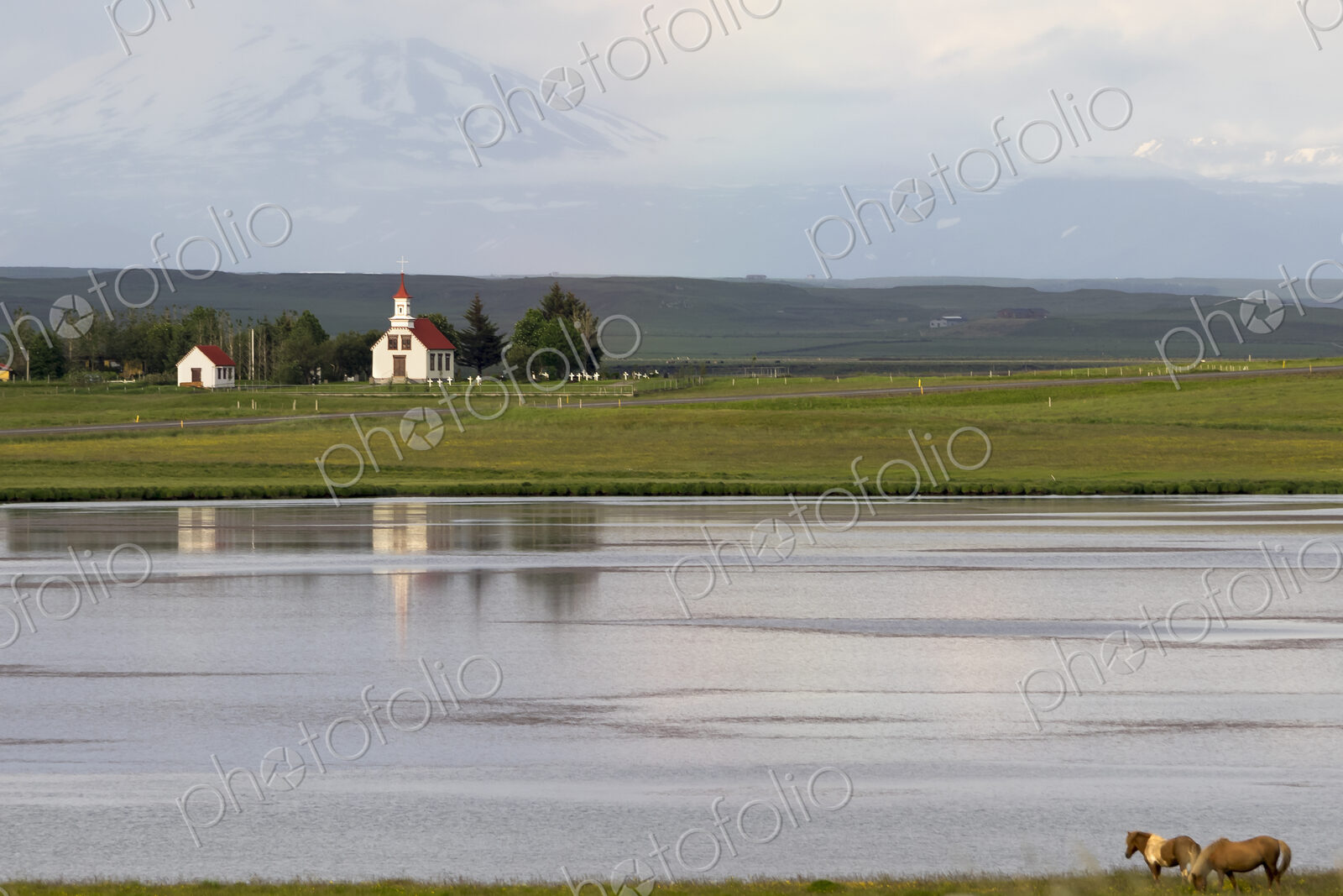 A small group of horses grazing near a lake and views across the calm water.