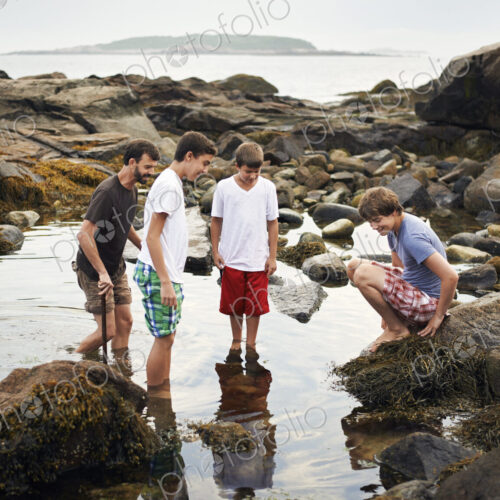 A small group of people standing in shallow water, rock pooling, finding marine life… A small group of people standing in shallow water, rock pooling, finding marine life…