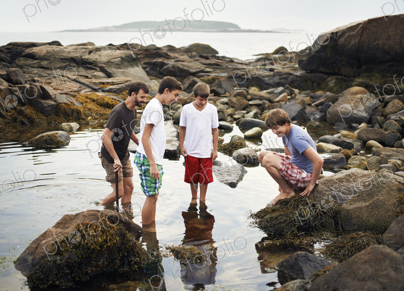 A small group of people standing in shallow water, rock pooling, finding marine life…