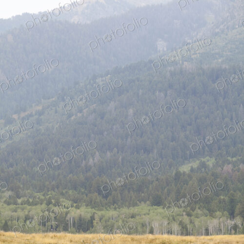 A small herd of horses, grazing on the plains, with a backdrop of mountains with…