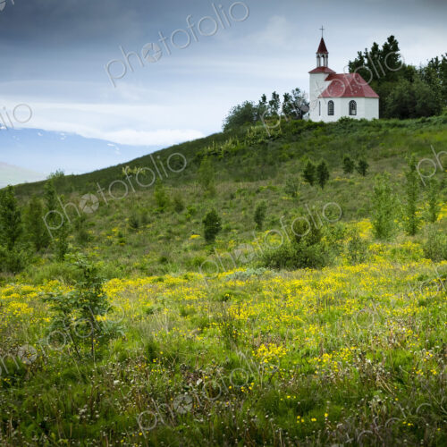 A small historic church in open countryside, among wildflower meadows. A small historic church in open countryside, among wildflower meadows.