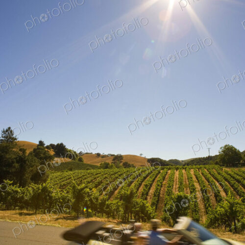 A small open top car on a road in the Napa Valley wine region, view of vines in the… A small open top car on a road in the Napa Valley wine region, view of vines in the…