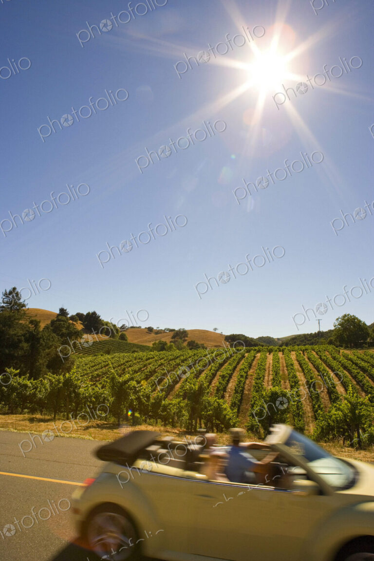A small open top car on a road in the Napa Valley wine region, view of vines in the…