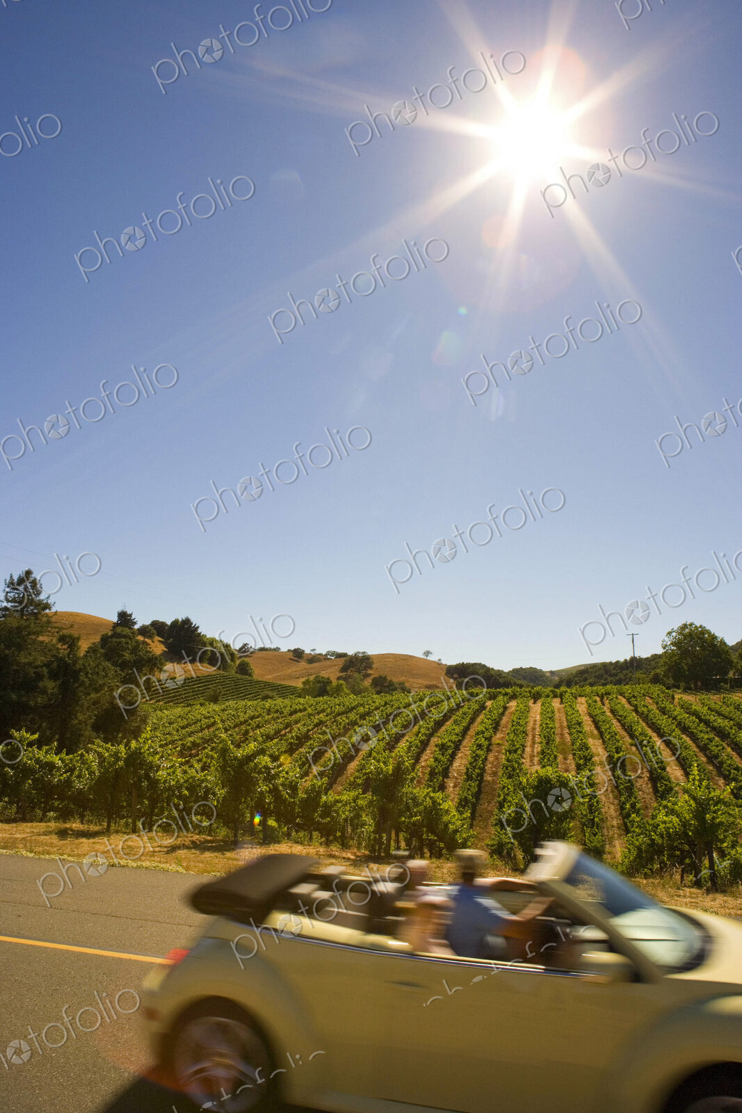 A small open top car on a road in the Napa Valley wine region, view of vines in the…