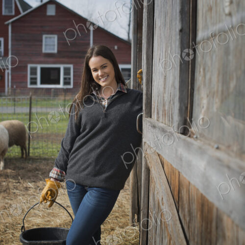 A small organic dairy farm with a mixed herd of cows and goats. Farmer working and…