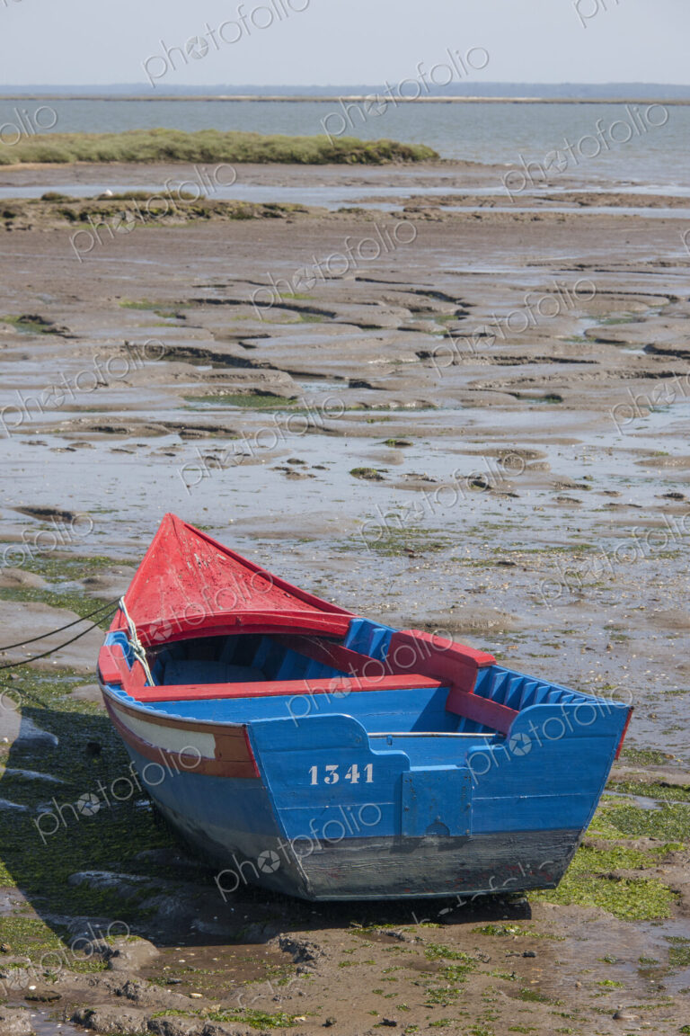A small painted wooden fishing boat beached on the shores of Sado Estuary outside…