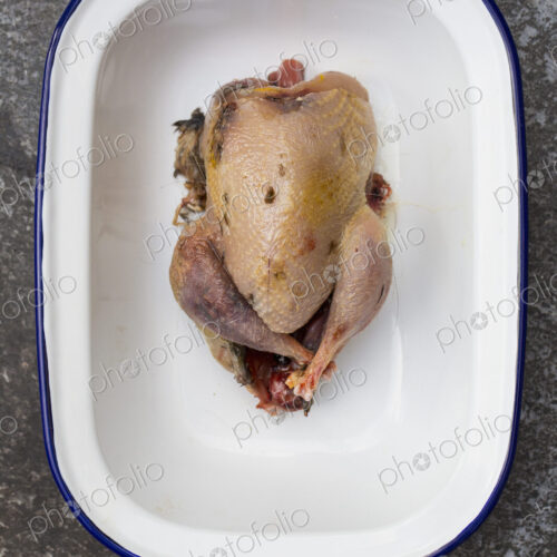 A small plucked game bird in a tin, ready for rcooking. A small plucked game bird in a tin, ready for rcooking.