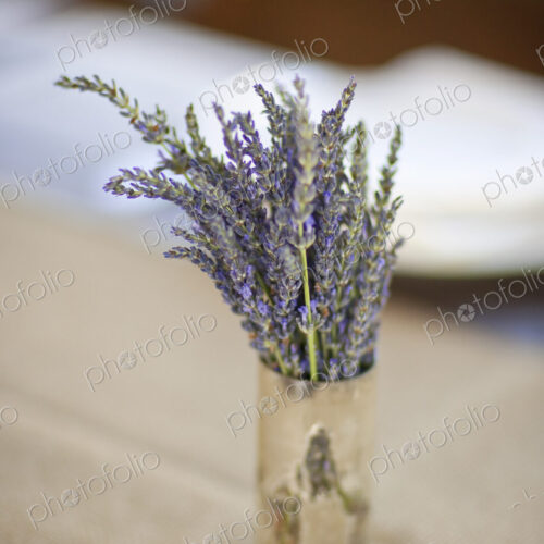 A small pot with fresh lavender flowers on a table top. A small pot with fresh lavender flowers on a table top.