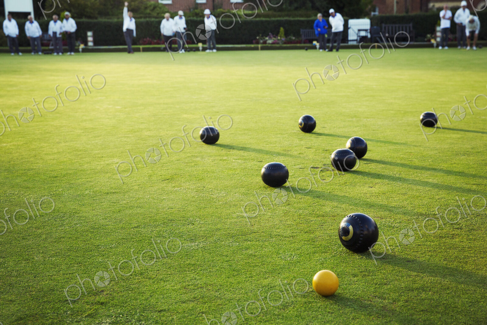 A small yellow target jack ball and a cluster of lawn bowls around it.