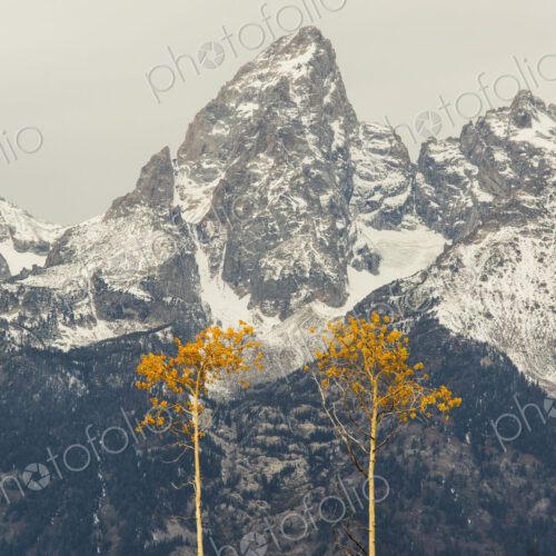 A snow covered mountain range in the Grand Teton national park. A snow covered mountain range in the Grand Teton national park.