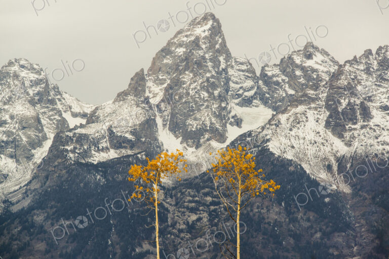 A snow covered mountain range in the Grand Teton national park.