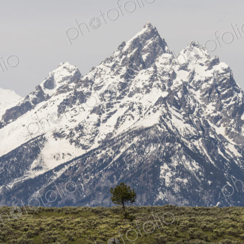 A snow covered mountain range in the Grand Teton national park. A snow covered mountain range in the Grand Teton national park.