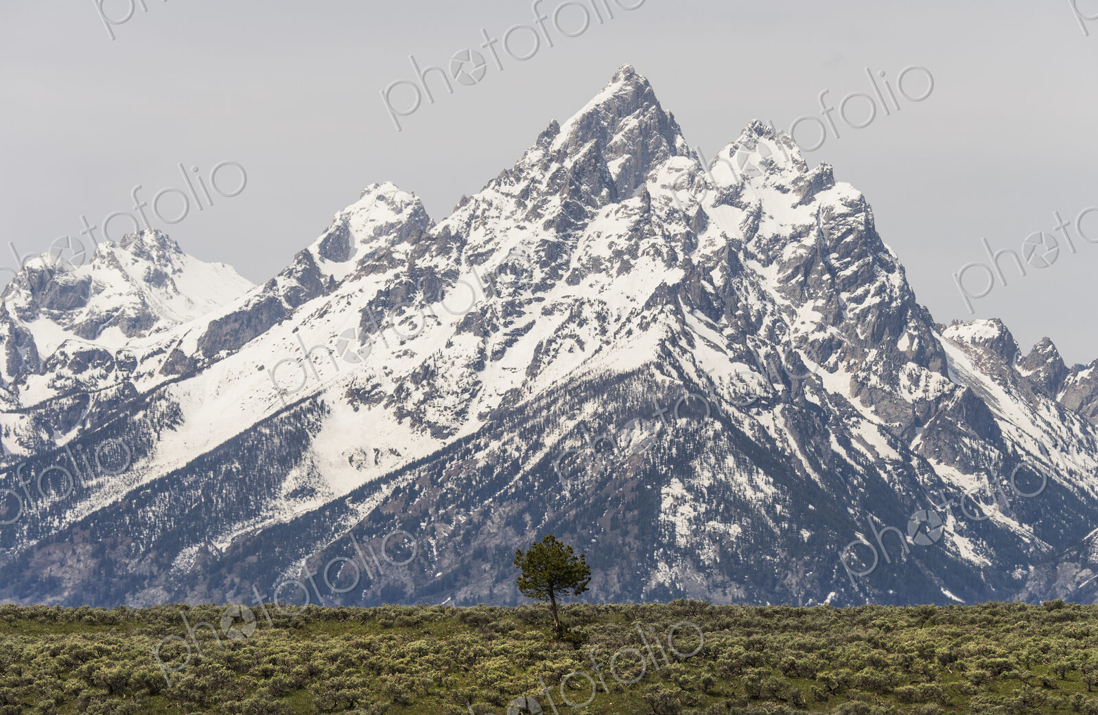 A snow covered mountain range in the Grand Teton national park.