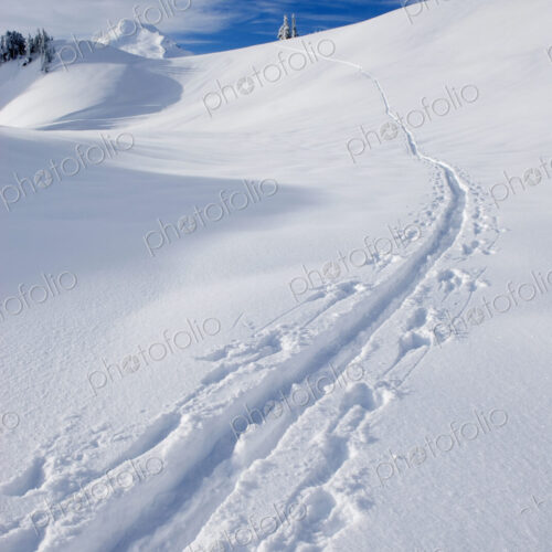 A snow trail made by a cross country skier on the slpoes of Mount Baker in the North… A snow trail made by a cross country skier on the slpoes of Mount Baker in the North…