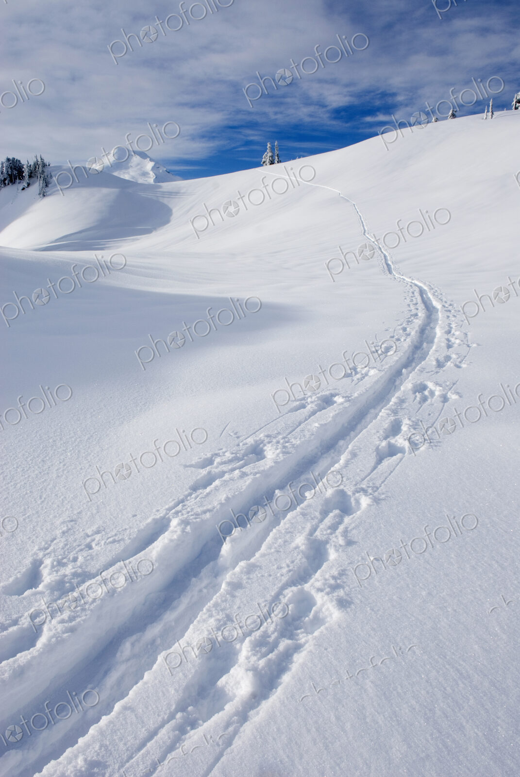 A snow trail made by a cross country skier on the slpoes of Mount Baker in the North…