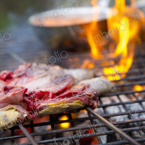 A spatchcocked game bird on skewers being roasted over an open fire. A spatchcocked game bird on skewers being roasted over an open fire.