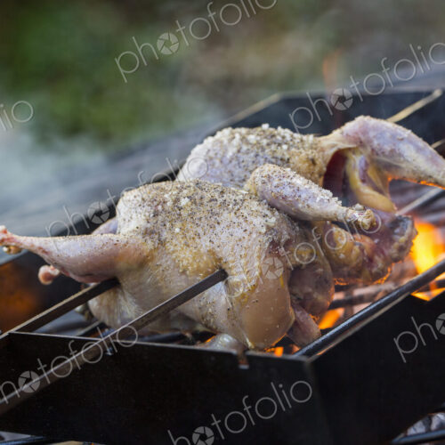 A spatchcocked game bird on skewers roasting on an open fire. A spatchcocked game bird on skewers roasting on an open fire.