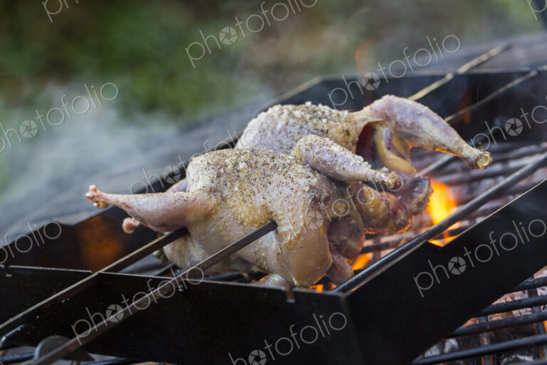 A spatchcocked game bird on skewers roasting on an open fire.