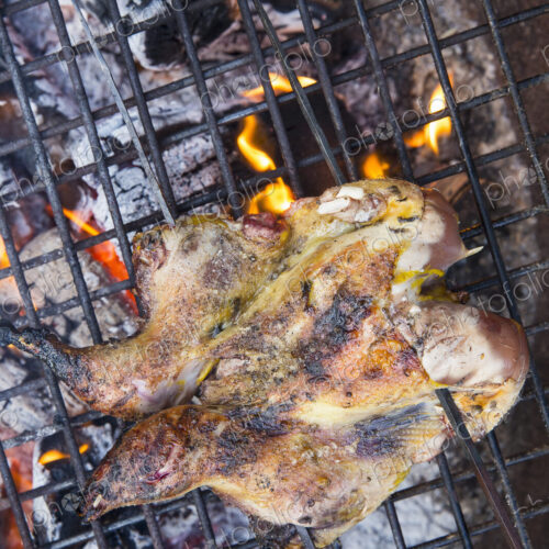 A spatchcocked game bird roasting above glowing coals. A spatchcocked game bird roasting above glowing coals.