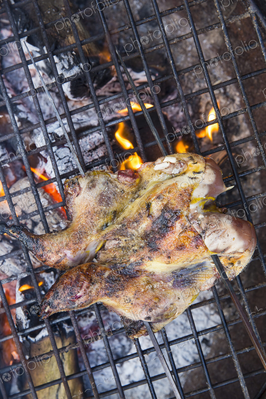 A spatchcocked game bird roasting above glowing coals.