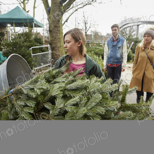A staff member at a garden centre carrying a Christmas tree A staff member at a garden centre carrying a Christmas tree