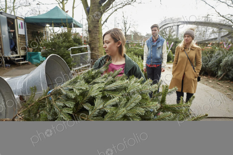 A staff member at a garden centre carrying a Christmas tree