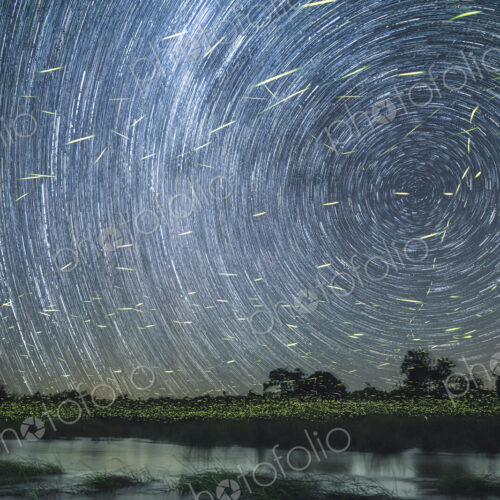 A star trail at night on the banks of the river with firefly trails