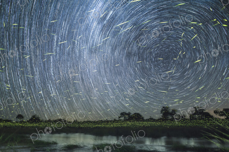 A star trail at night on the banks of the river with firefly trails