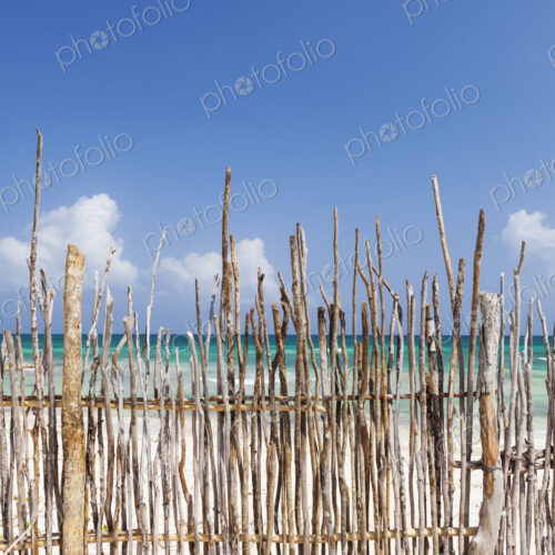 A stick fence along a white sand beach A stick fence along a white sand beach
