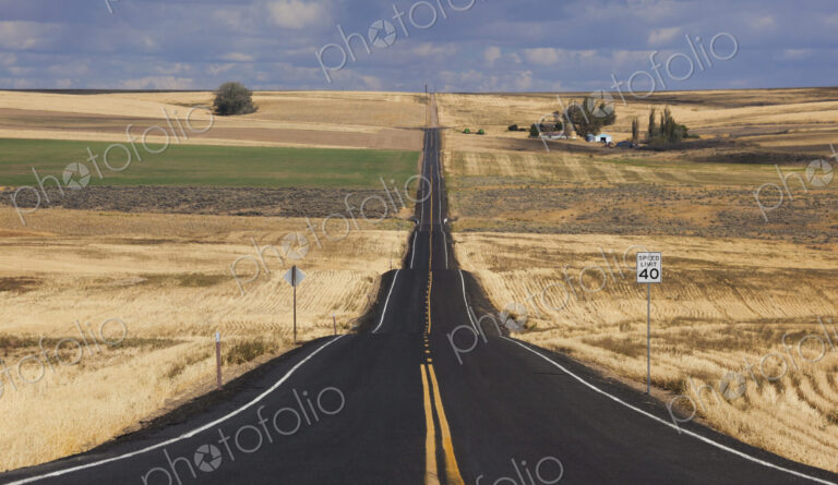 A straight rural road through crops fields, stretching into the distance at Palouse,…