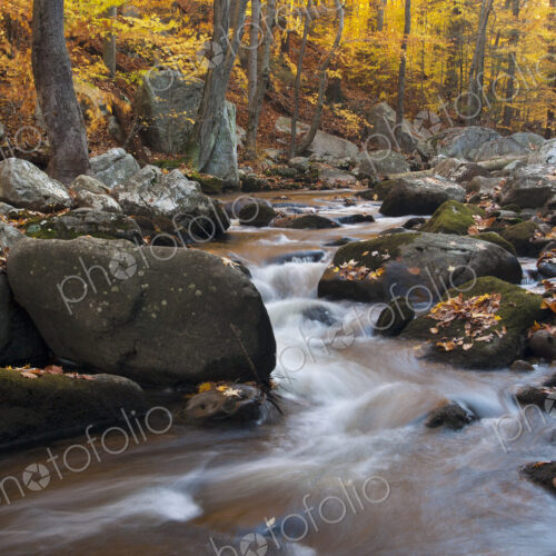 A stream flowing over rocks in a forest with vivid autumn leaves on the trees.