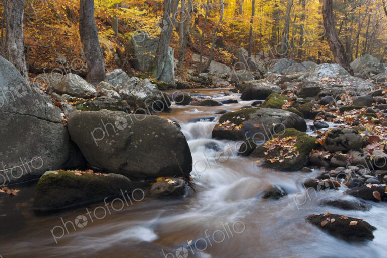 A stream flowing over rocks in a forest with vivid autumn leaves on the trees.