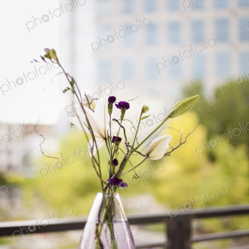 A table on a terrace in the city. A vase of flowers. Small purple flowers, and white… A table on a terrace in the city. A vase of flowers. Small purple flowers, and white…