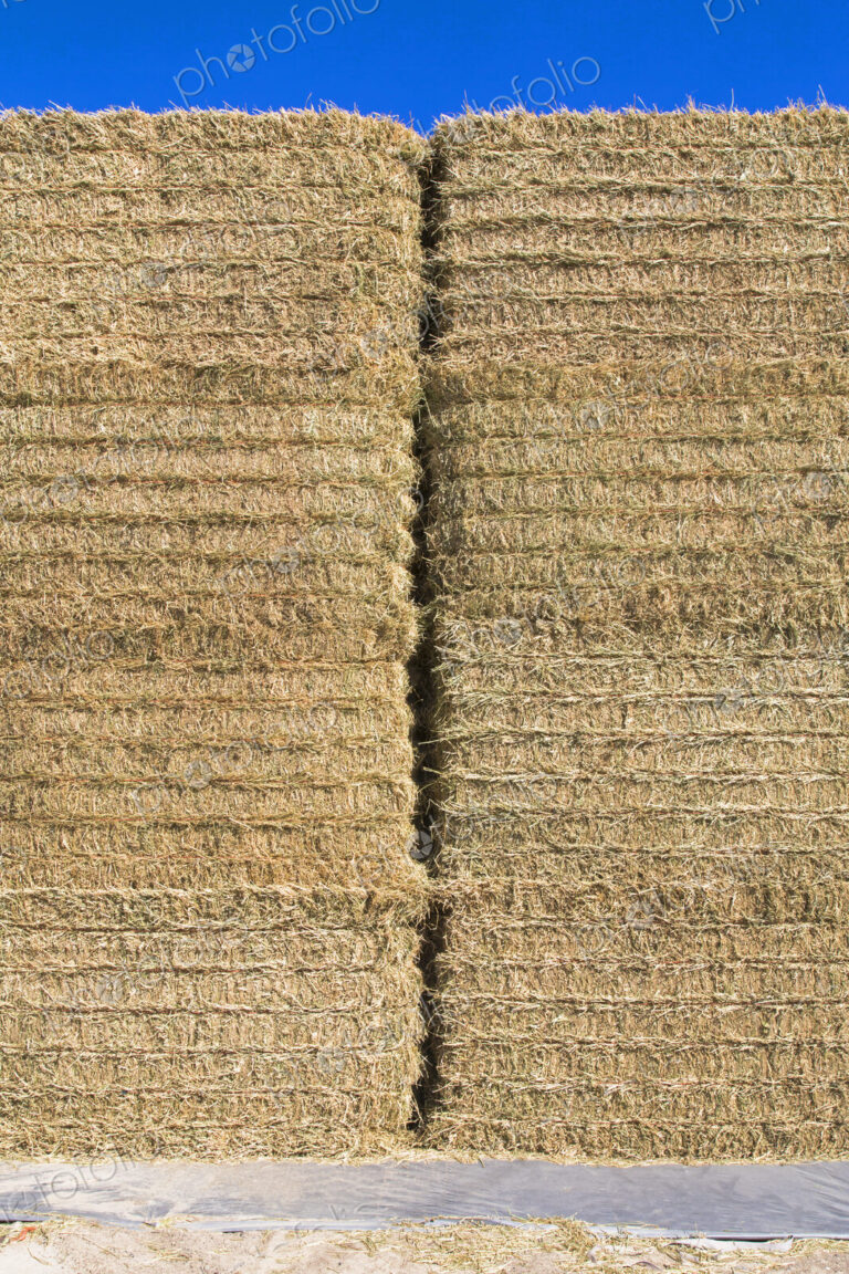 A tall stack of hay bales in a farmyard. Neatly packed and baled.