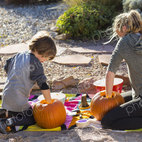 A teenage girl and her brother carving pumpkins at Halloween.