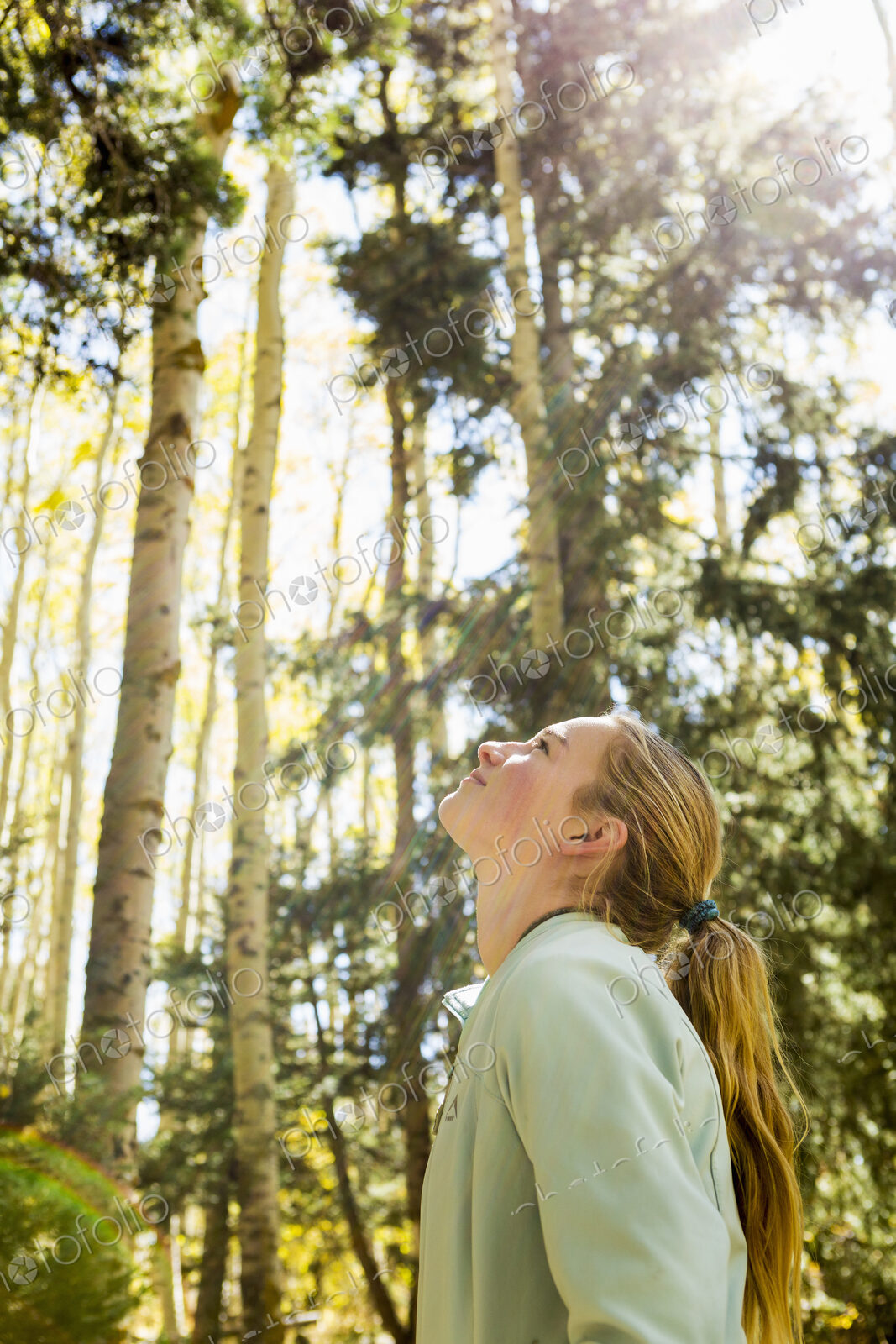 A teenage girl hiker looking up at aspens in woodland with vivid autumnal colour