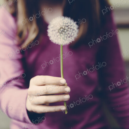 A ten year old girl holding a dandelion clock seedhead on a long stem. A ten year old girl holding a dandelion clock seedhead on a long stem.
